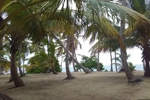 Terreno de 314,000 m² con 500 m de playa en Cabeza de Toro, Bávaro, foto 3