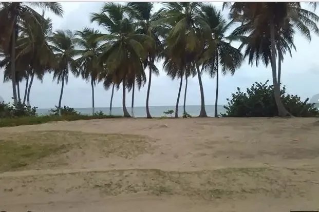 Terreno de 314,000 m² con 500 m de playa en Cabeza de Toro, Bávaro, foto 4