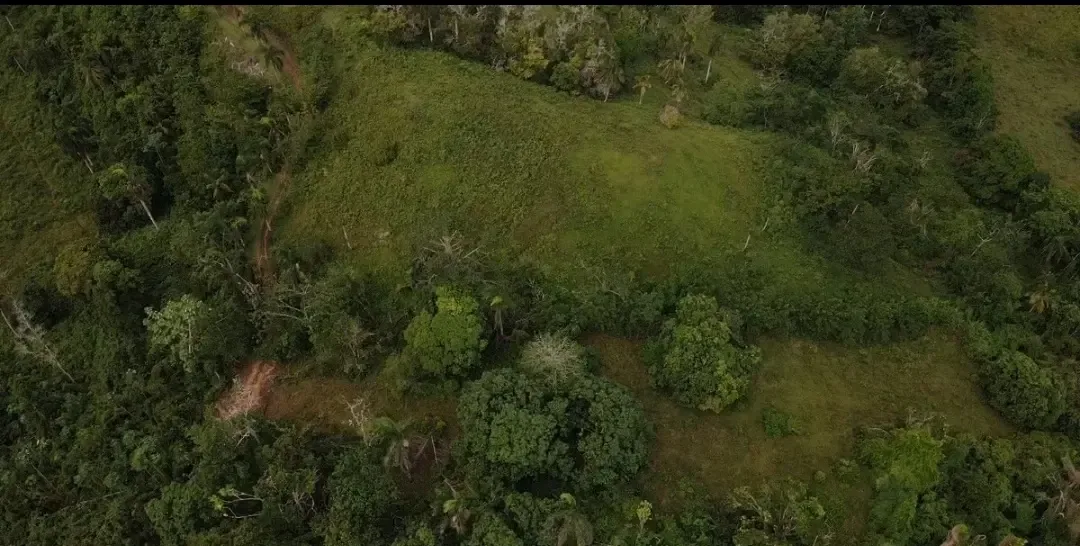 Terreno turístico de 120,400 m² cerca de Puerto Bahía, Samaná, foto 4